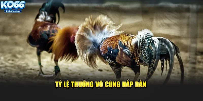 Tỷ lệ thưởng vô cùng hấp dẫn