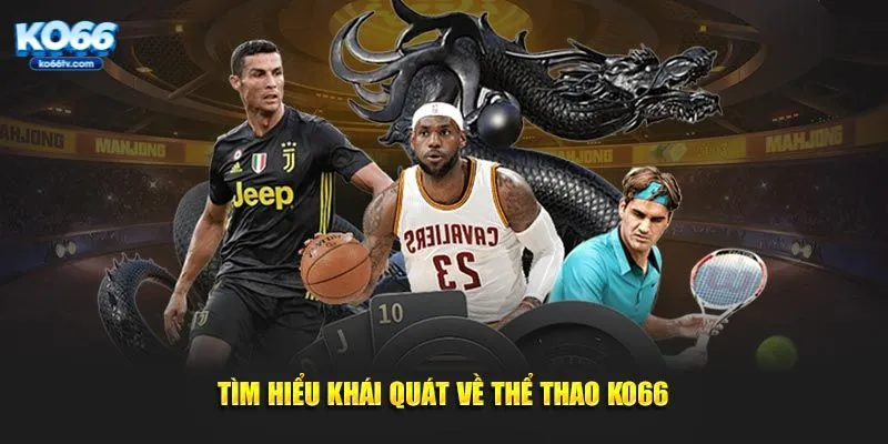 Tìm hiểu khái quát về thể thao KO66