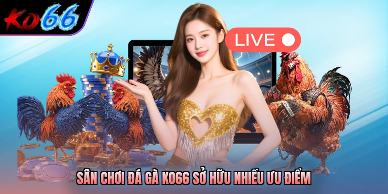 Sân chơi đá gà KO66 sở hữu nhiều ưu điểm 